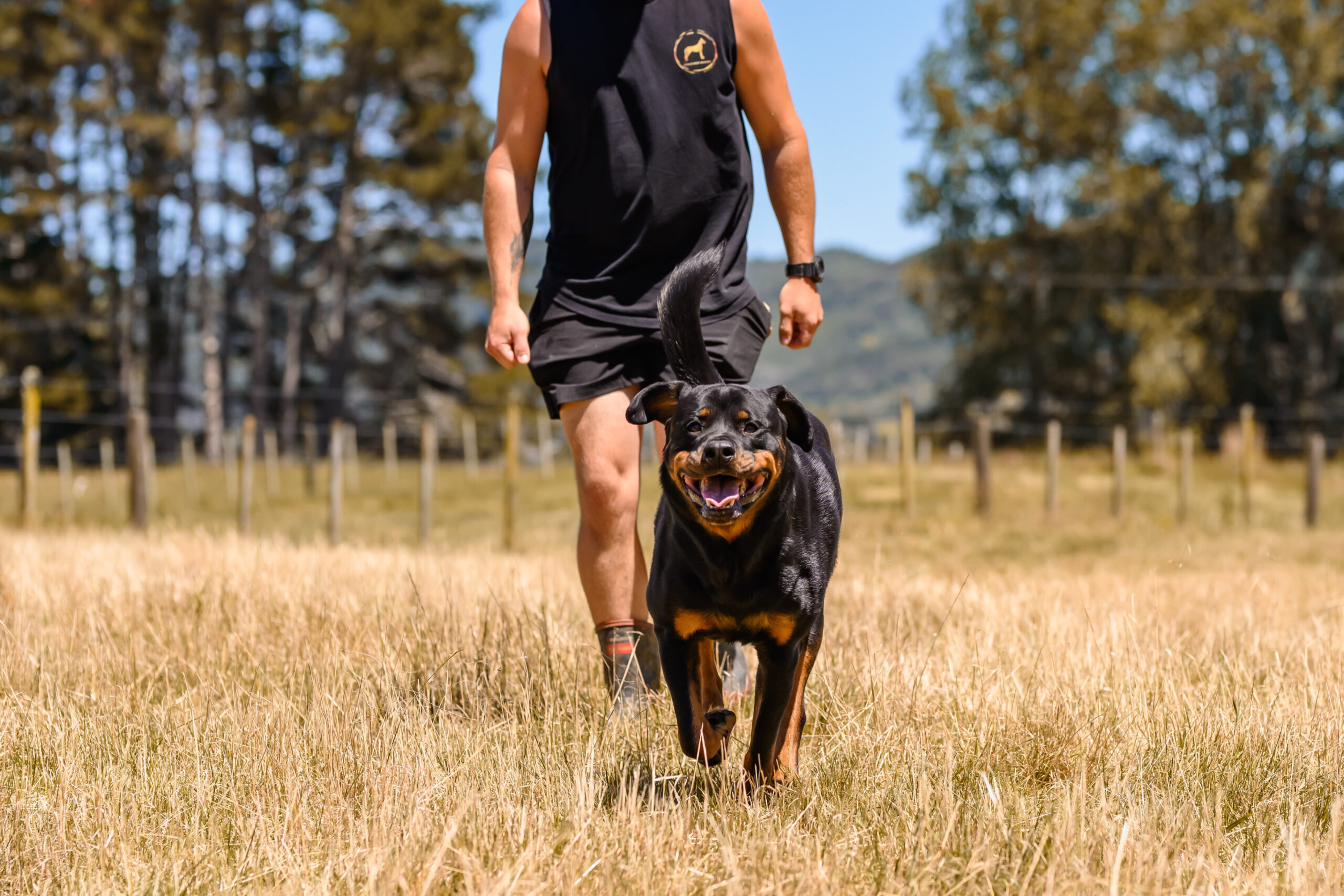 testimonials-2 Image of dog