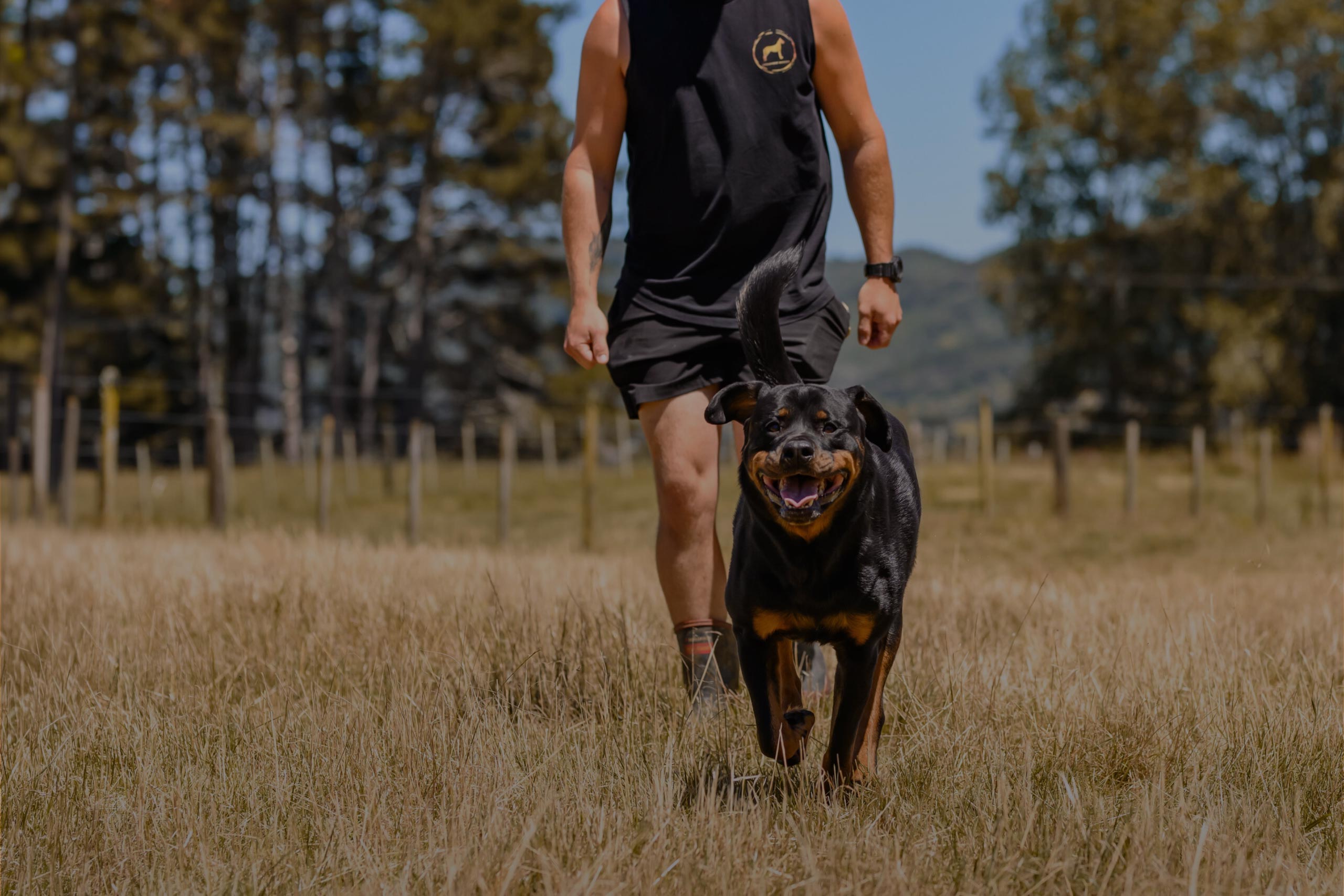 mckenzie-manor-hero-banner Dog walking in the field under supervision